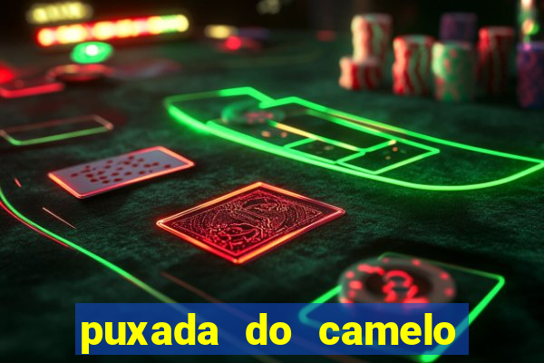 puxada do camelo no jogo do bicho